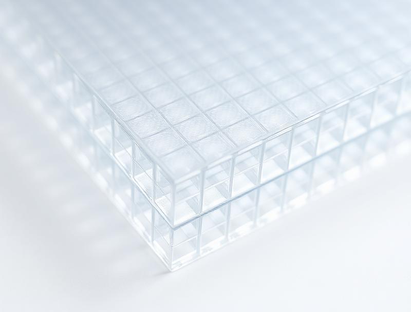 16 mm Doppelstegplatte klar